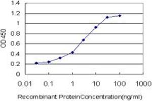 Detection limit for recombinant GST tagged AKAP13 is approximately 0. (AKAP13 antibody  (AA 1-110))