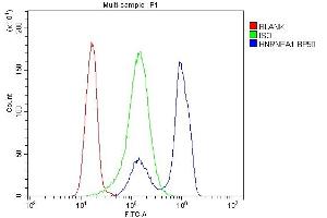 Flow Cytometry analysis of K562 cells using anti-HnRNP A1 antibody (ABIN4886621).