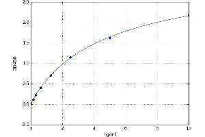 A typical standard curve