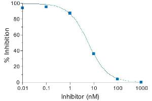 Activity Assay (AcA) image for SensoLyte® 440 Cathepsin B Assay Kit (ABIN1882437) (SensoLyte® 440 Cathepsin B Assay Kit)