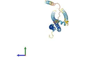 Protein Structure (PS) image for Charged Multivesicular Body Protein 2A (CHMP2A) (AA 1-222) protein (His tag) (ABIN7565003)