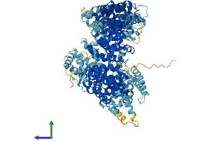 AlphaFold protein structure predicition of Human Recombinant RANBP17 Protein, UniprotID Q9H2T7 (RANBP17 Protein (AA 1-1088) (His tag))