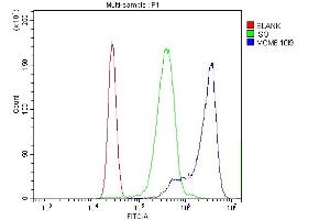 anti-Minichromosome Maintenance Complex Component 6 (MCM6) (AA 14-821) antibody