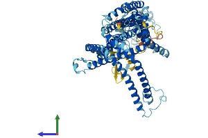 AlphaFold protein structure predicition of Human Recombinant SLC44A2 Protein, UniprotID Q8IWA5