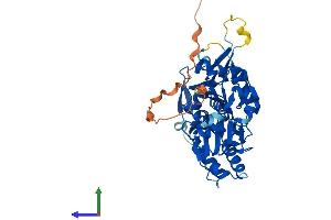 Protein Structure (PS) image for Actin-Like 7b (Actl7b) (AA 1-418) protein (His tag) (ABIN7561781)