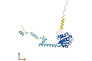 AlphaFold protein structure predicition of Mouse Recombinant Pdcl2 Protein, UniprotID Q78Y63 (PDCL2 Protein (AA 1-240) (His tag))