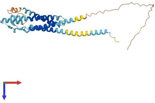 ODF4 Protein (AA 1-290) (His tag)