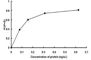 TRKB Protein (AA 456-822) (GST tag)