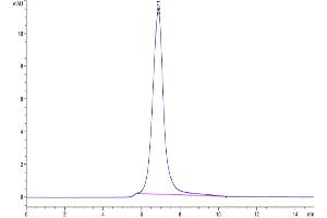 The purity of Mouse PODXL2 is greater than 95 % as determined by SEC-HPLC. (PODXL2 Protein (AA 29-499) (His tag))