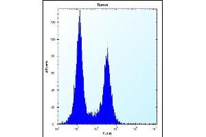 UBN2 Antibody (N-term) (ABIN657446 and ABIN2846474) flow cytometric analysis of Ramos cells (right histogram) compared to a negative control cell (left histogram). (UBN2 antibody  (N-Term))