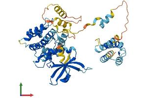 AlphaFold protein structure predicition of Human Recombinant MAPKAPK5 Protein, UniprotID Q8IW41 (MAPKAP Kinase 5 Protein (AA 1-473) (His tag))