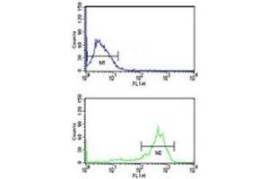 Anti-beta Tubulin antibody flow cytometry analysis of MCF-7 cells (bottom histogram) compared to a negative control cell (top histogram). (TUBB1 antibody)
