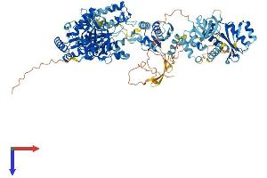 AlphaFold protein structure predicition of Human Recombinant ERVK-11 Protein, UniprotID Q9UQG0 (ERVK-11 Protein (AA 1-969) (His tag))