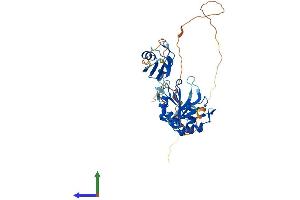 Protein Structure (PS) image for TIA1 Cytotoxic Granule-Associated RNA Binding Protein-Like 1 (TIAL1) (AA 1-392) protein (His tag) (ABIN7556692)