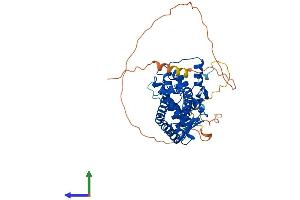 Protein Structure (PS) image for Estrogen-Related Receptor gamma (ESRRG) (AA 1-458) protein (His tag) (ABIN7556610)