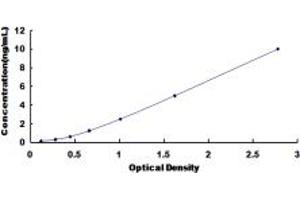 Typical standard curve (SLC12A7 ELISA Kit)