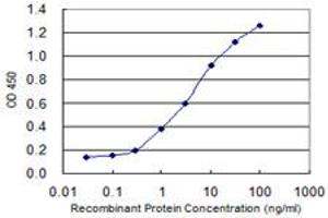 Detection limit for recombinant GST tagged PPP1R1B is 0. (DARPP32 antibody  (AA 1-168))