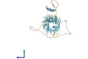 AlphaFold protein structure predicition of Human Recombinant ZNF761 Protein, UniprotID Q86XN6 (ZNF761 Protein (AA 1-746) (His tag))