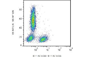 Surface staining of human peripheral blood leukocytes with anti-human CD28 (CD28. (CD28 antibody  (FITC))
