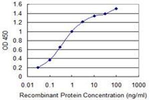 Detection limit for recombinant GST tagged IL1F9 is 0. (IL1F9 antibody  (AA 1-110))