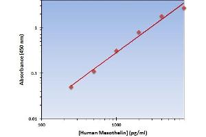 This is an example of what a typical standard curve will look like. (Mesothelin ELISA Kit)