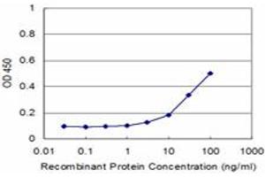 Detection limit for recombinant GST tagged AKAP12 is approximately 3ng/ml as a capture antibody. (AKAP12 antibody  (AA 1675-1782))
