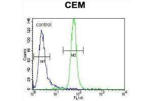 Flow Cytometry (FACS) image for anti-Muscle, Skeletal, Receptor Tyrosine Kinase (MUSK) antibody (ABIN3003399) (MUSK antibody)