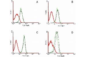 Flow cytometry analysis of 5-bromodeoxyuridin (BrdU) incorporation in CEM human acute lymphoblastic leukemia cell line using purified anti-5-bromodeoxyuridin (MoBu-1) (detection by Goat anti-mouse IgG1 FITC). (FAS antibody)