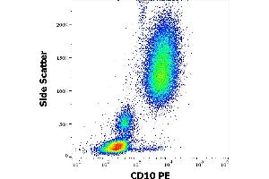 Flow cytometry surface staining pattern of human peripheral whole blood stained using anti-human CD10 (MEM-78) PE antibody (20 μL reagent / 100 μL of peripheral whole blood). (MME antibody  (PE))