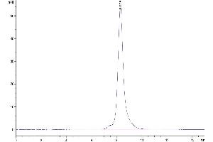 The purity of Mouse CD3E&CD3D is greater than 95 % as determined by SEC-HPLC.