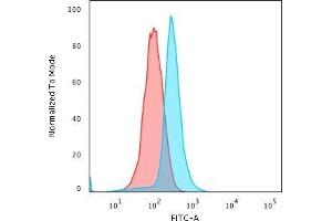 Flow Cytometric Analysis of PFA-fixed K562 cells using BCL10 Mouse Monoclonal Antibody (BL10/411) followed by Goat anti-Mouse IgG-CF488 (Blue); Isotype Control (Red) (BCL10 antibody  (AA 122-168))