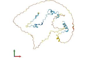 AlphaFold protein structure predicition of Human Recombinant CDC42EP3 Protein, UniprotID Q9UKI2