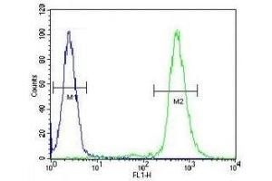 RPS6 antibody flow cytometric analysis of WiDr cells (green) compared to a negative control (blue). (RPS6 antibody  (AA 220-249))
