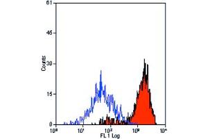 Image no. 1 for anti-Egf-Like Module Containing, Mucin-Like, Hormone Receptor-Like 1 (EMR1) antibody (ABIN111846)