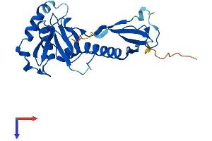 AlphaFold protein structure predicition of Human Recombinant MKRN2OS Protein, UniprotID H3BPM6 (MKRN2OS Protein (AA 1-223) (His tag))