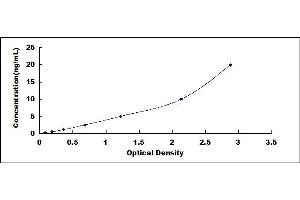 Typical standard curve (Filaggrin ELISA Kit)