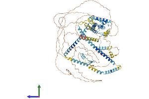 AlphaFold protein structure predicition of Human Recombinant HAUS6 Protein, UniprotID Q7Z4H7
