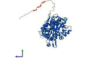 Protein Structure (PS) image for X-Prolyl Aminopeptidase (Aminopeptidase P) 3, Putative (XPNPEP3) (AA 1-507) protein (His tag) (ABIN7545199)