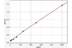 Typical standard curve (NUBP2 ELISA Kit)