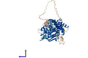 AlphaFold protein structure predicition of Mouse Recombinant Abcg1 Protein, UniprotID Q64343 (ABCG1 Protein (AA 1-666) (His tag))