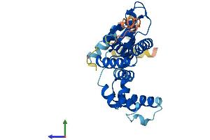 Protein Structure (PS) image for Lix1 Homolog (LIX1) (AA 1-282) protein (His tag) (ABIN7549062)