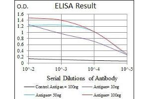 Black line: Control Antigen (100 ng), Purple line: Antigen(10 ng), Blue line: Antigen (50 ng), Red line: Antigen (100 ng), (DLL4 antibody)