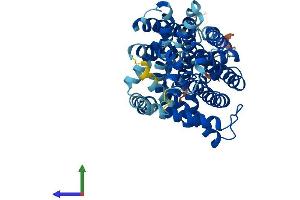 AlphaFold protein structure predicition of Human Recombinant SLC7A11 Protein, UniprotID Q9UPY5