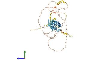 AlphaFold protein structure predicition of Mouse Recombinant Sp100 Protein, UniprotID O35892 (SP100 Protein (AA 1-482) (His tag))