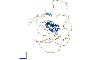 AlphaFold protein structure predicition of Mouse Recombinant Hnf1a Protein, UniprotID P22361 (HNF1A Protein (AA 1-628) (His tag))