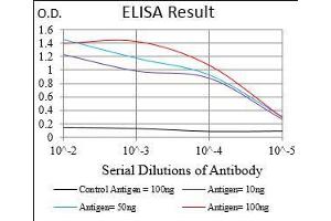 Fig. (Villin 1 antibody  (AA 1-209))