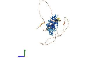 Protein Structure (PS) image for SH3-Domain Binding Protein 1 (SH3BP1) (AA 1-701) protein (His tag) (ABIN7551863)