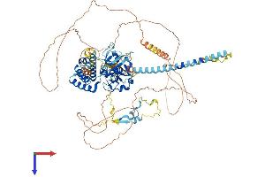 AlphaFold protein structure predicition of Human Recombinant JADE3 Protein, UniprotID Q92613 (PHF16 Protein (AA 1-823) (His tag))