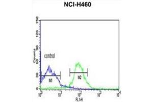 Flow Cytometry (FACS) image for anti-FK506 Binding Protein 9, 63 KDa (FKBP9) antibody (ABIN3003182) (FKBP9 antibody)