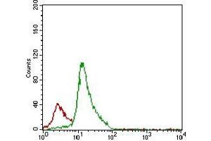 Flow cytometric analysis of Jurkat cells using CD7 mouse mAb (green) and negative control (red). (CD7 antibody  (AA 72-175))